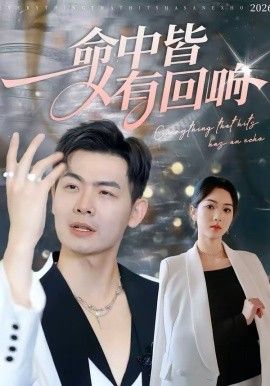 命中皆有回响(全集)